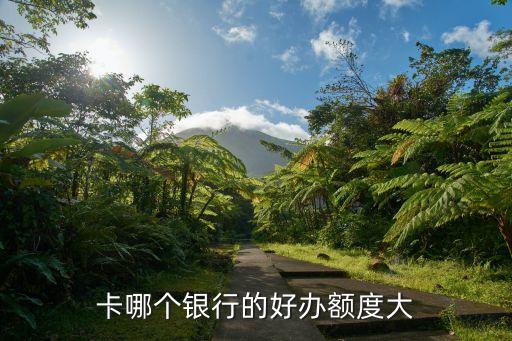 卡哪个银行的好办额度大