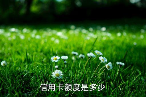 信用卡额度是多少