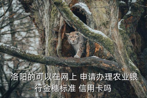  洛阳的可以在网上 申请办理农业银行金穗标准 信用卡吗