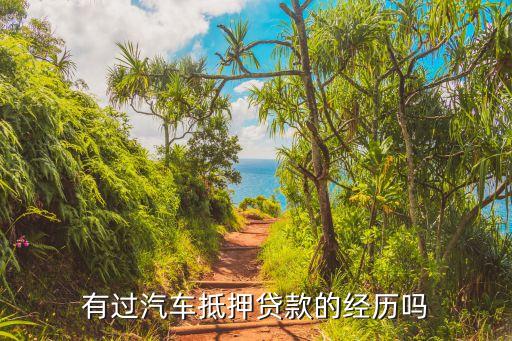 有过汽车抵押贷款的经历吗