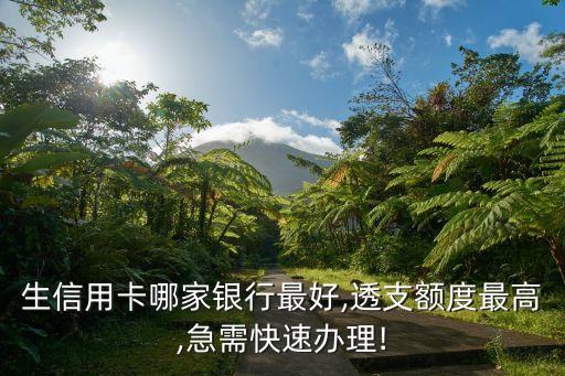 大学生信用卡哪个有额度高,哪家银行有大学生信用卡额度