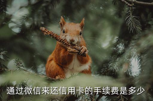 通过微信来还信用卡的手续费是多少