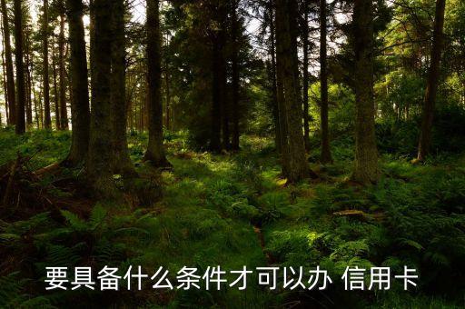 申请信用卡有什么要求吗