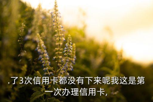.了3次信用卡都没有下来呢我这是第一次办理信用卡,
