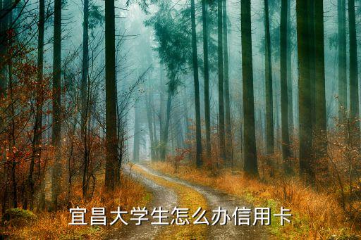宜昌大学生怎么办信用卡