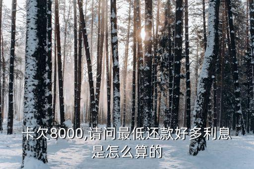卡欠8000,请问最低还款好多利息是怎么算的