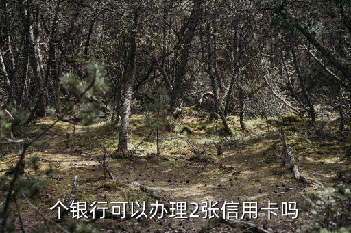 个银行可以办理2张信用卡吗