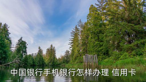 中国银行手机银行怎样办理 信用卡