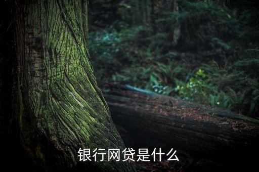 银行网贷是什么