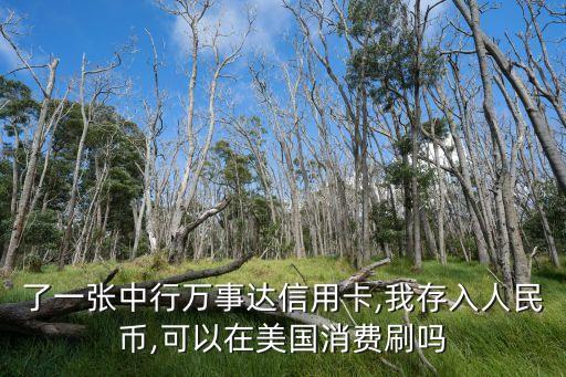 银行信用卡美国可以用吗,美国哪家银行信用卡好用