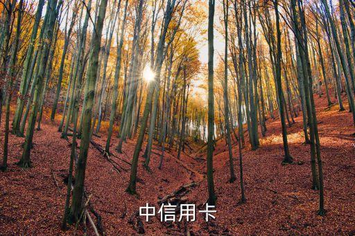 中信用卡