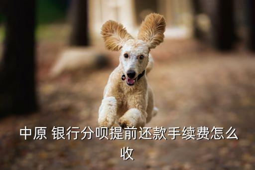  中原 银行分呗提前还款手续费怎么收