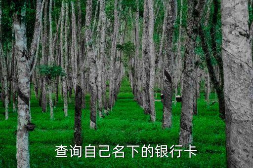 查询自己名下的银行卡