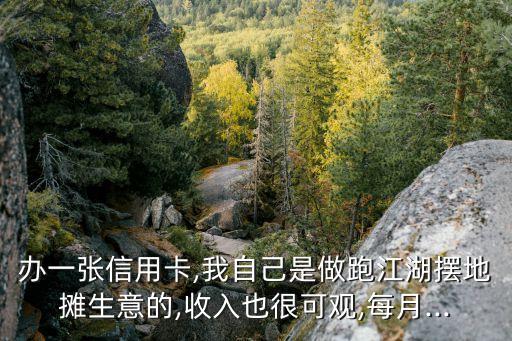 办一张信用卡,我自己是做跑江湖摆地摊生意的,收入也很可观,每月...