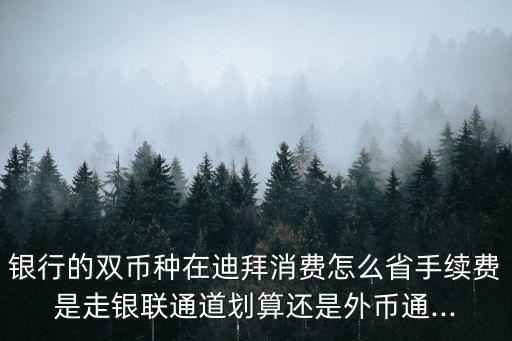 银行的双币种在迪拜消费怎么省手续费是走银联通道划算还是外币通...