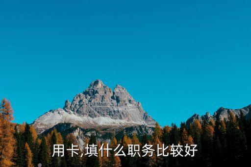 用卡,填什么职务比较好