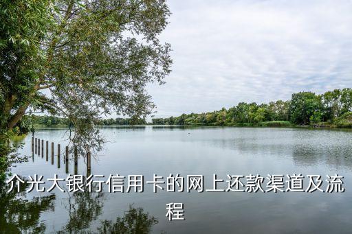 介光大银行信用卡的网上还款渠道及流程