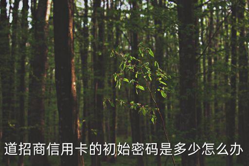 道招商信用卡的初始密码是多少怎么办