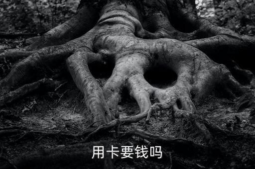 用卡要钱吗