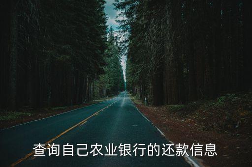 查询自己农业银行的还款信息