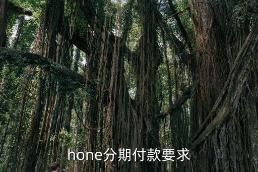 hone分期付款要求