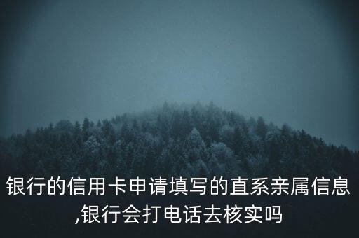 申请信用卡直系亲属兄妹,直系亲属带信用卡