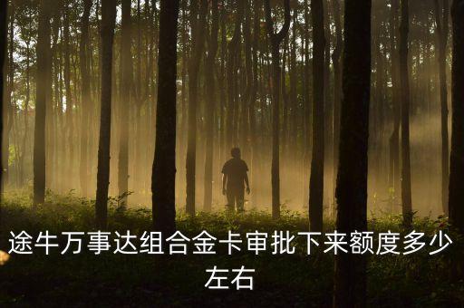 途牛万事达组合金卡审批下来额度多少左右