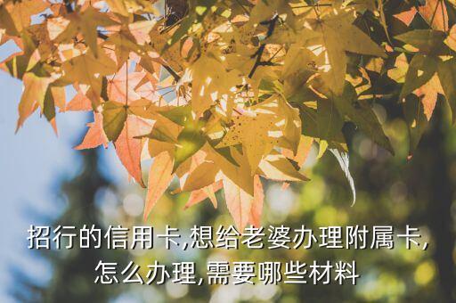 招行的信用卡,想给老婆办理附属卡,怎么办理,需要哪些材料