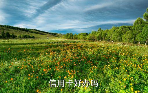 信用卡好办吗