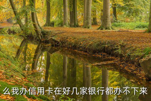 么我办信用卡在好几家银行都办不下来