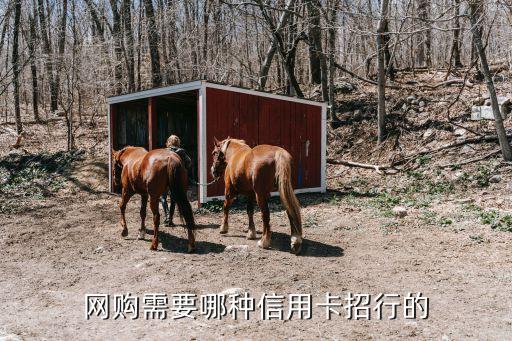 网购需要哪种信用卡招行的