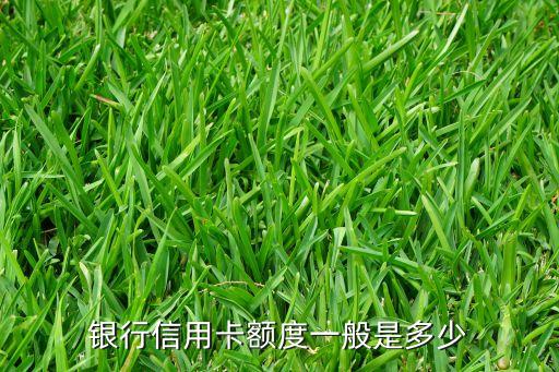 申请长沙银行的信用卡,长沙银行信用卡申请进度查询