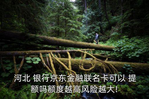  河北 银行京东金融联名卡可以 提额吗额度越高风险越大!