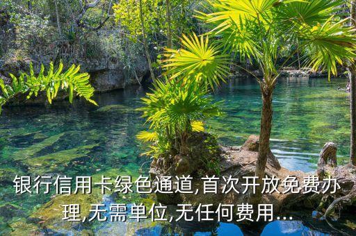 银行信用卡绿色通道,首次开放免费办理,无需单位,无任何费用...