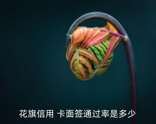 花旗信用 卡面签通过率是多少
