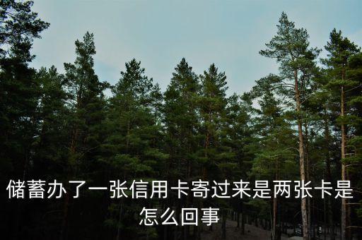 邮政银行信用卡附卡申请,中国邮政银行申请了一张信用卡