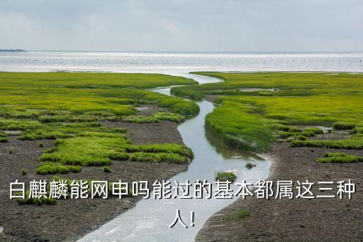 白麒麟能网申吗能过的基本都属这三种人!