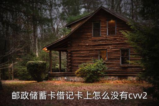 邮政储蓄卡借记卡上怎么没有cvv2