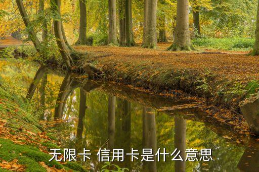  无限卡 信用卡是什么意思