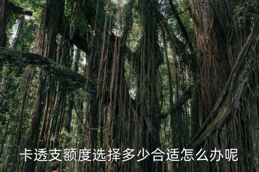信用卡透支额度了怎么办,为什么信用卡透支额度不能用