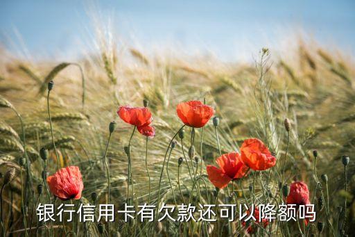 银行信用卡有欠款还可以降额吗