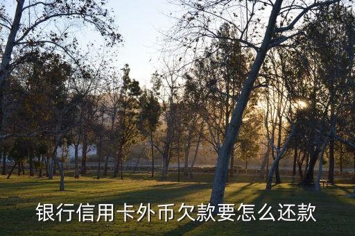银行信用卡外币欠款要怎么还款