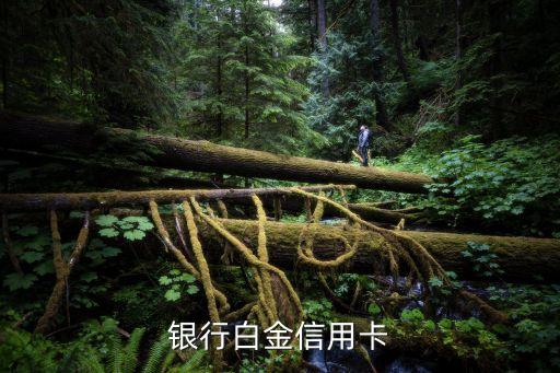 银行白金信用卡
