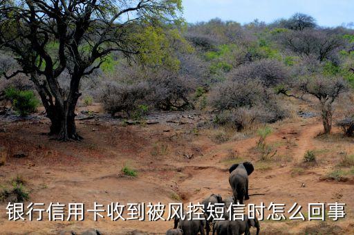 银行信用卡收到被风控短信时怎么回事