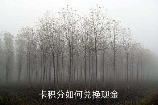 卡积分如何兑换现金