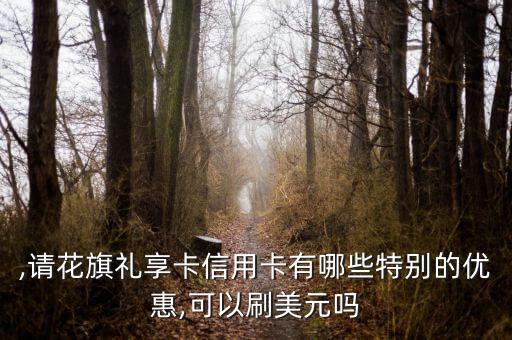 ,请花旗礼享卡信用卡有哪些特别的优惠,可以刷美元吗