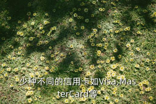 少种不同的信用卡如Visa,MasterCard等