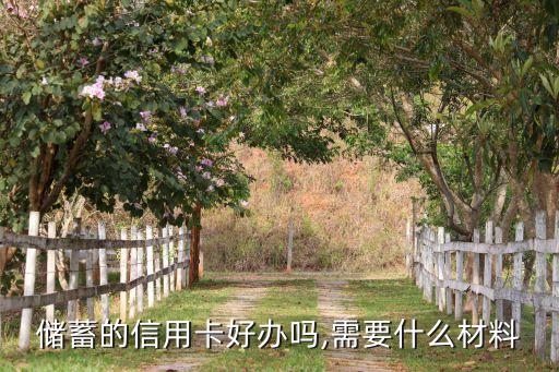 储蓄的信用卡好办吗,需要什么材料