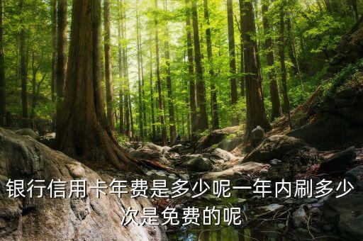 高额度信用卡刷卡年免费,信用卡信用额度技巧