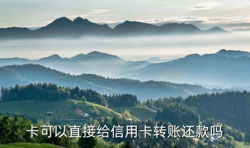 卡可以直接给信用卡转账还款吗
